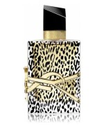 Yves Saint Laurent Collector's Edition EDP 90ml Kadın Parfüm Tester