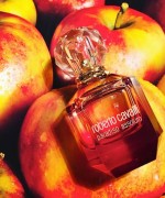 Roberto Cavalli Paradiso Assoluto EDP 75ml Kadın Parfüm Tester