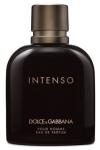 Dolce&Gabbana Intenso EDP 125ml Erkek Parfüm Tester