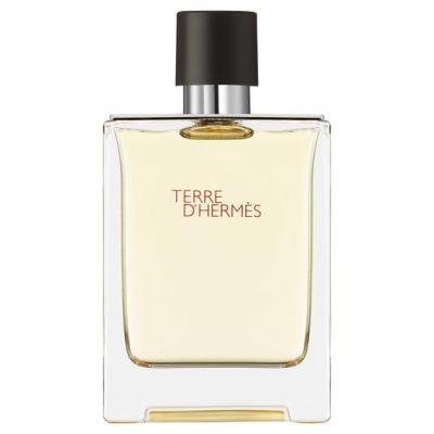 Hermes Terre d'Hermès EDT 100ml Erkek Parfüm Tester