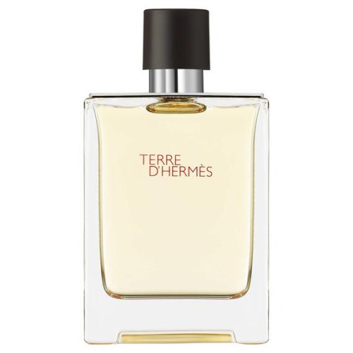 Hermes Terre d'Hermès EDT 100ml Erkek Parfüm Tester