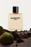 Burberry Hero EDT 100ml Erkek Parfüm Tester