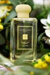Jo Malone London Frangipani Flower Cologne 100ml Unisex