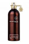 Montale Intense Cafe EDP 100ml Unisex Parfüm Tester