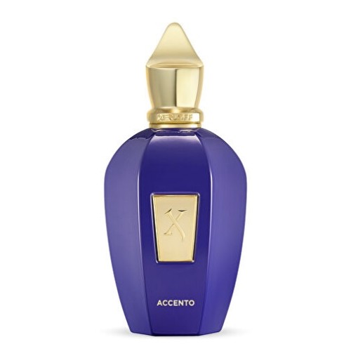 Xerjoff V Accento EDP 100ml Unisex Parfüm Tester